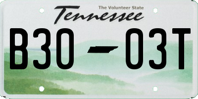 TN license plate B3003T