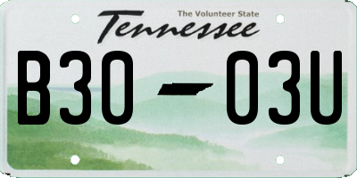 TN license plate B3003U