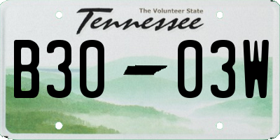 TN license plate B3003W