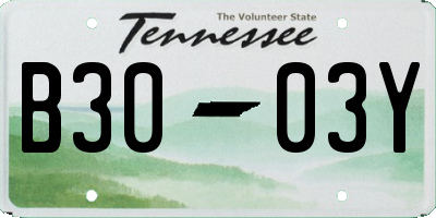 TN license plate B3003Y
