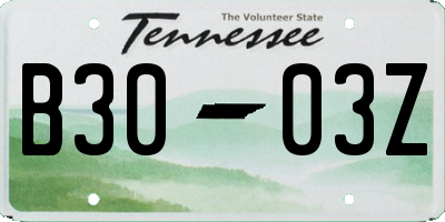 TN license plate B3003Z