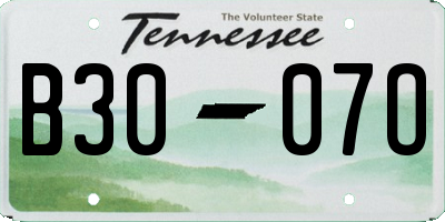 TN license plate B3007O