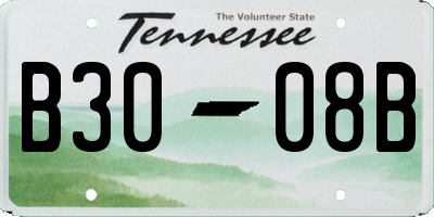 TN license plate B3008B