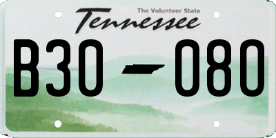 TN license plate B3008O