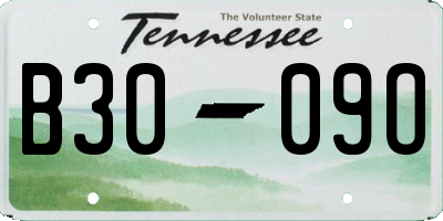 TN license plate B3009O