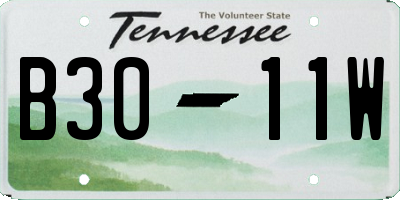 TN license plate B3011W