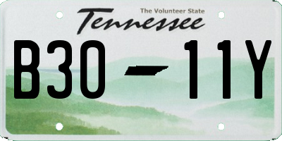TN license plate B3011Y