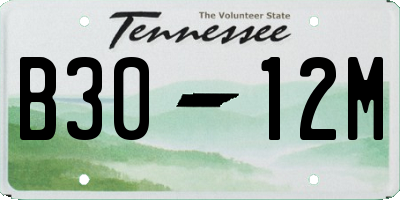 TN license plate B3012M