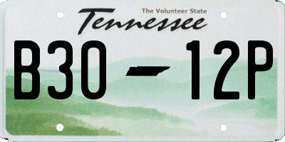 TN license plate B3012P