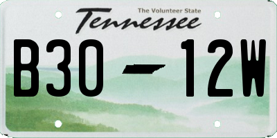 TN license plate B3012W