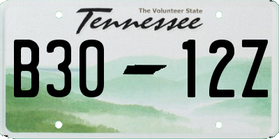 TN license plate B3012Z