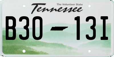 TN license plate B3013I