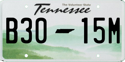 TN license plate B3015M