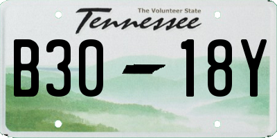 TN license plate B3018Y