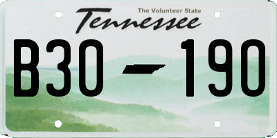 TN license plate B3019O