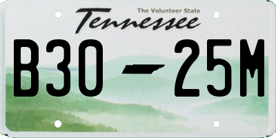 TN license plate B3025M