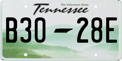 TN license plate B3028E