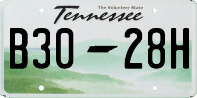 TN license plate B3028H