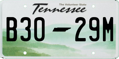 TN license plate B3029M