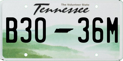 TN license plate B3036M