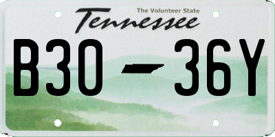 TN license plate B3036Y