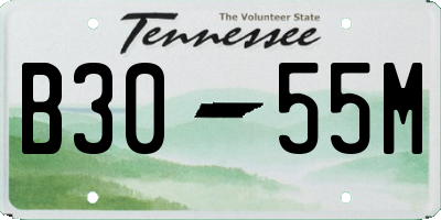 TN license plate B3055M
