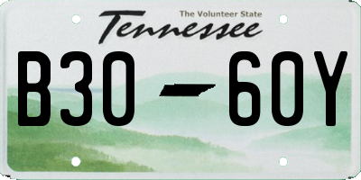 TN license plate B3060Y