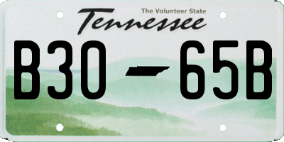 TN license plate B3065B