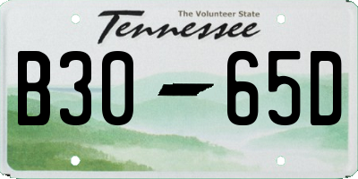 TN license plate B3065D