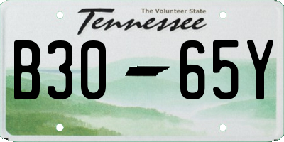 TN license plate B3065Y