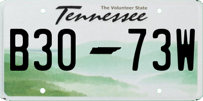 TN license plate B3073W