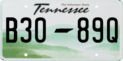 TN license plate B3089Q