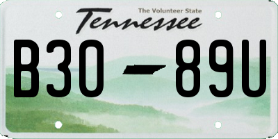 TN license plate B3089U