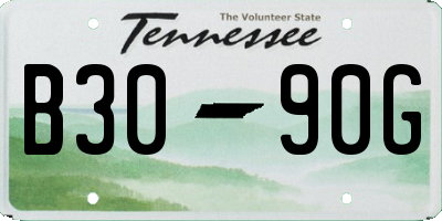 TN license plate B3090G