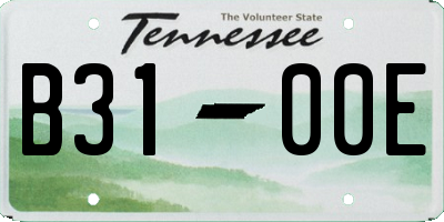 TN license plate B3100E