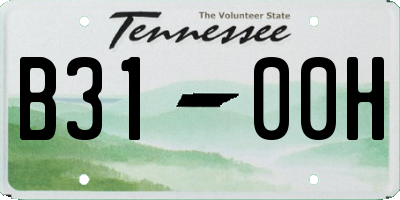 TN license plate B3100H