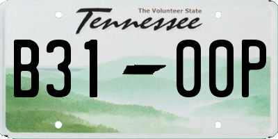 TN license plate B3100P
