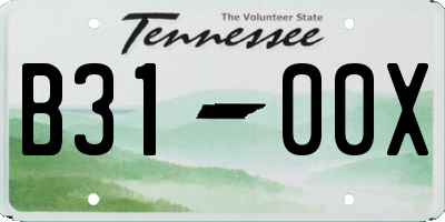TN license plate B3100X