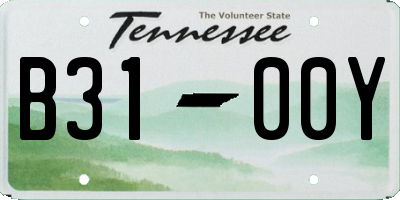 TN license plate B3100Y
