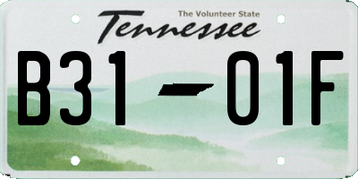 TN license plate B3101F