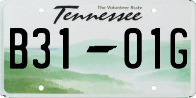 TN license plate B3101G