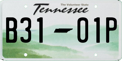 TN license plate B3101P