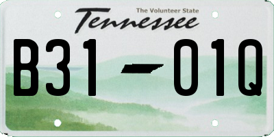TN license plate B3101Q