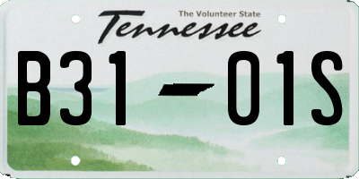 TN license plate B3101S