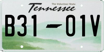 TN license plate B3101V