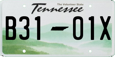 TN license plate B3101X