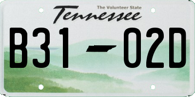 TN license plate B3102D