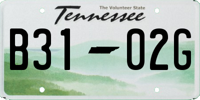 TN license plate B3102G