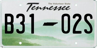 TN license plate B3102S