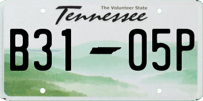 TN license plate B3105P